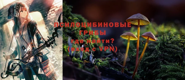 стаф Баксан
