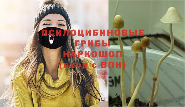 дмт Балахна