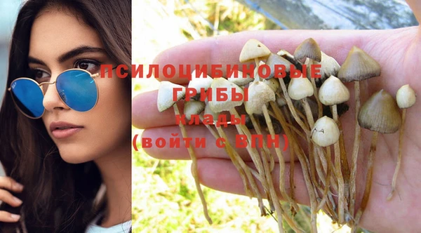 дмт Балахна