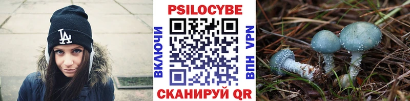 blacksprut ONION  Нестеров  Галлюциногенные грибы мухоморы 